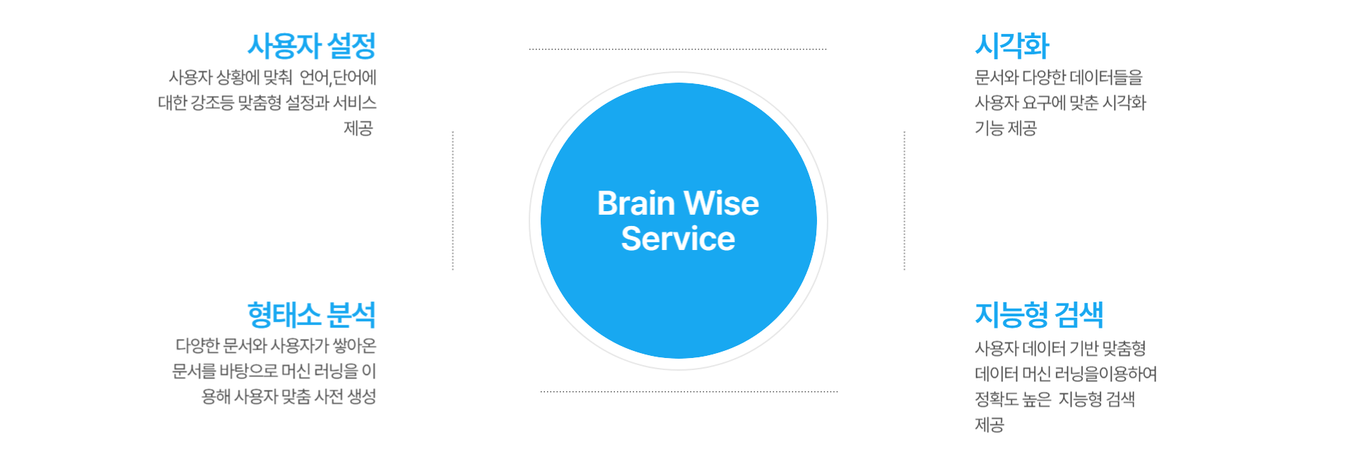 BRAIN WISE SERVICE